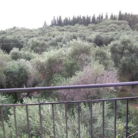 Casa de hóspedes Apollo *