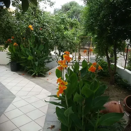 Casa de hóspedes Apollo *