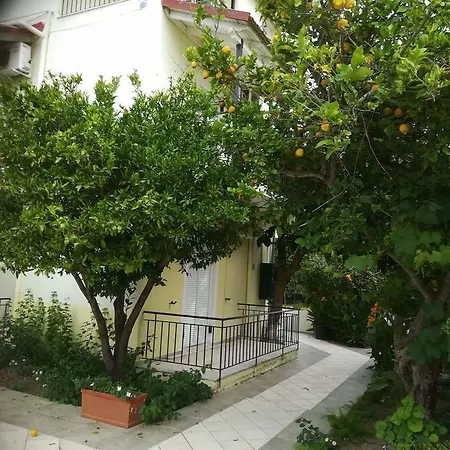 Apollo Casa de hóspedes Kávos