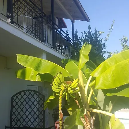 Apollo Casa de hóspedes *